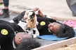 Explore unique yoga and activities at GGA Dwarf Goat Yoga with up to 25% off, including goat yoga, hiking, and more - Second Medium