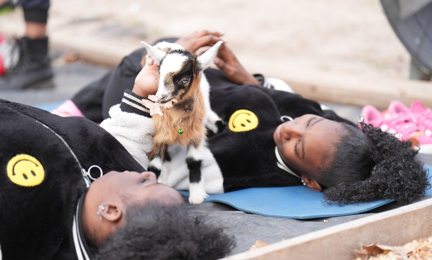 Image 7: Experience Yoga with Goats: Choose from Sessions and Activities