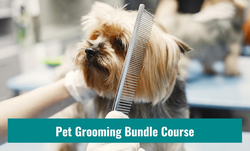 Image 1: Up to 50% Off on Pet Grooming Course at Training Express