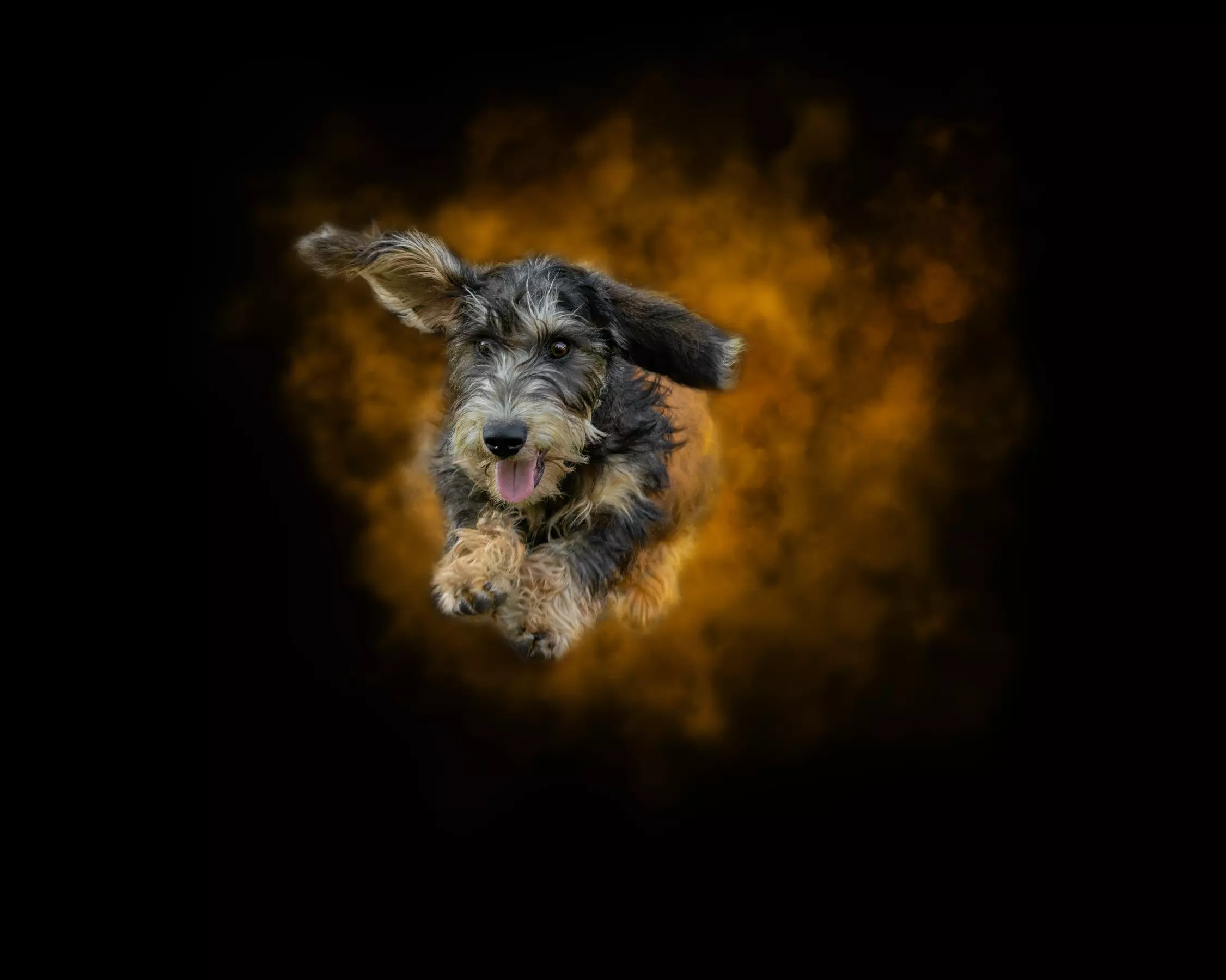 30 Min. Holi-Fotoshooting inkl. 3 - 5 Bilder