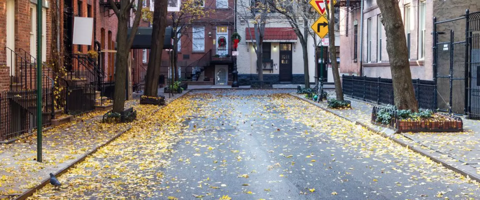 Discover the Hidden Gems of Greenwich Village on a Guided Walking Tour