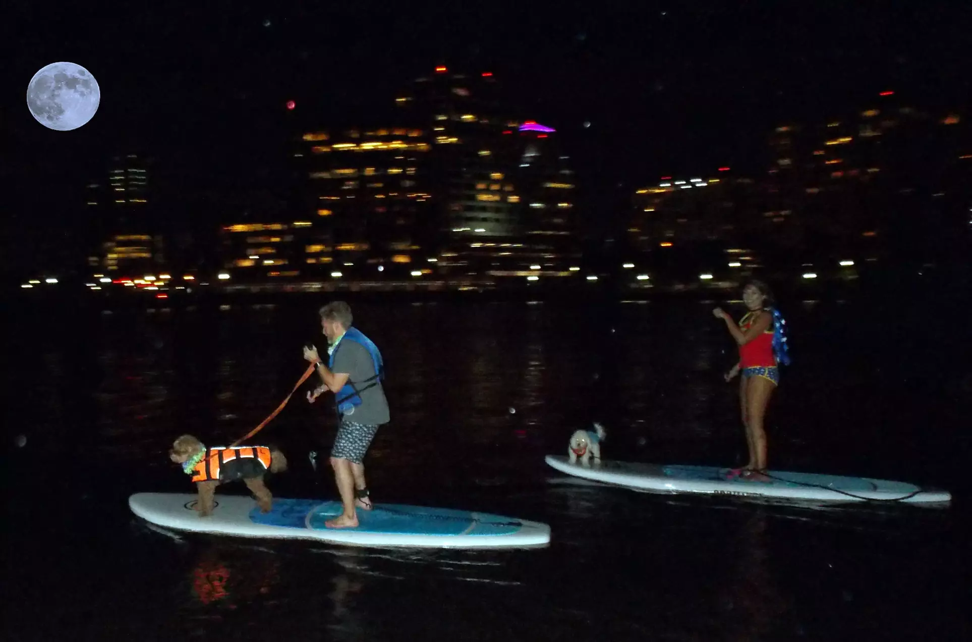 Up to 50% Off on Water Sport Rental - Surfboard / Water Skis / Paddleboard at Salty Dog Paddle - Primary Image