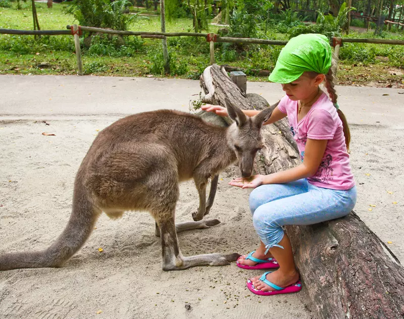  Admission for One, Two, Three, or Four with Exotic Animal Encounter