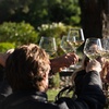 Image 2: Explore Wine Tasting and Charcuterie Pairing: Couples and Groups