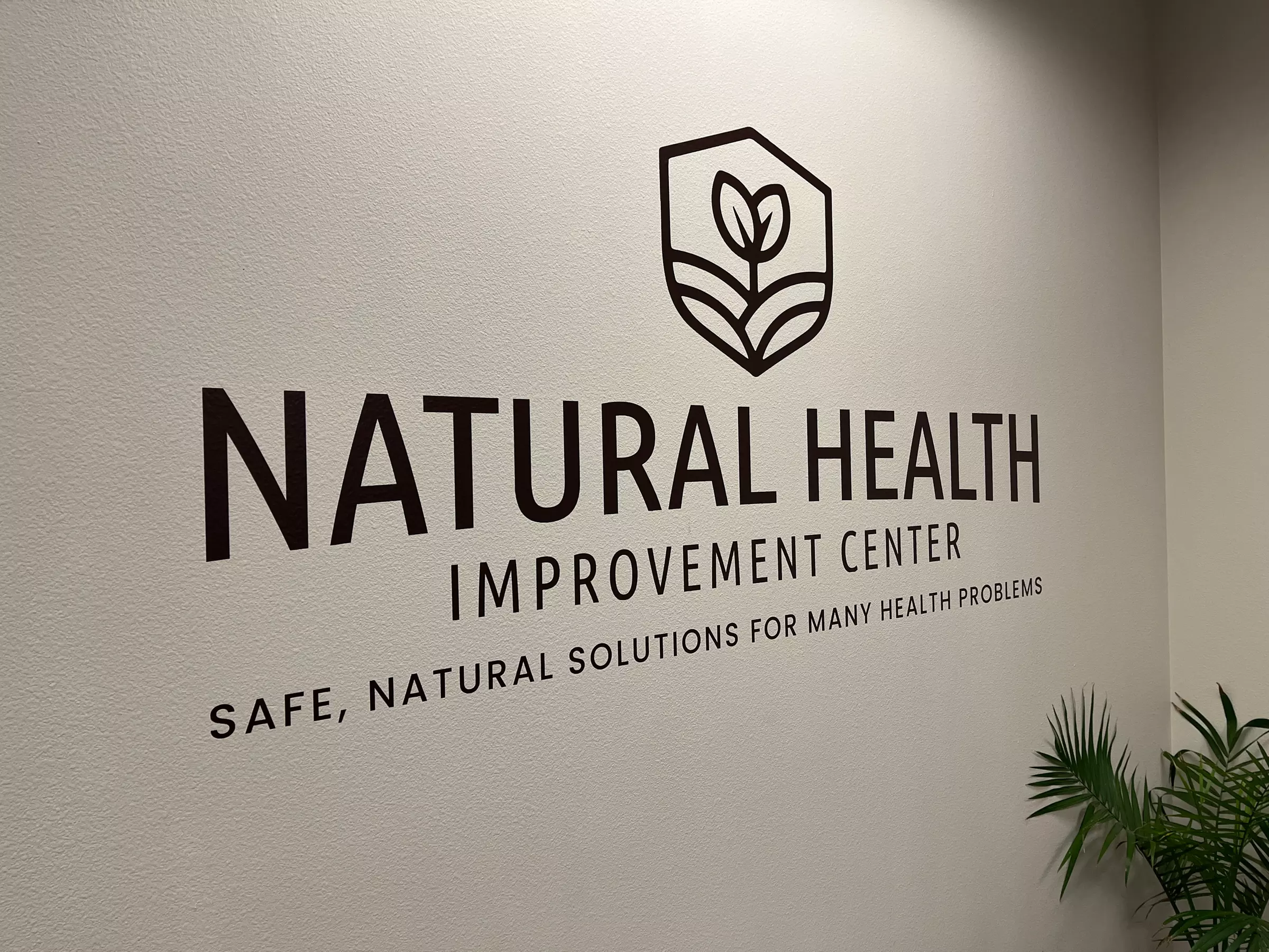 Experience One or Three Ionic Foot Detox Session for Holistic Wellness