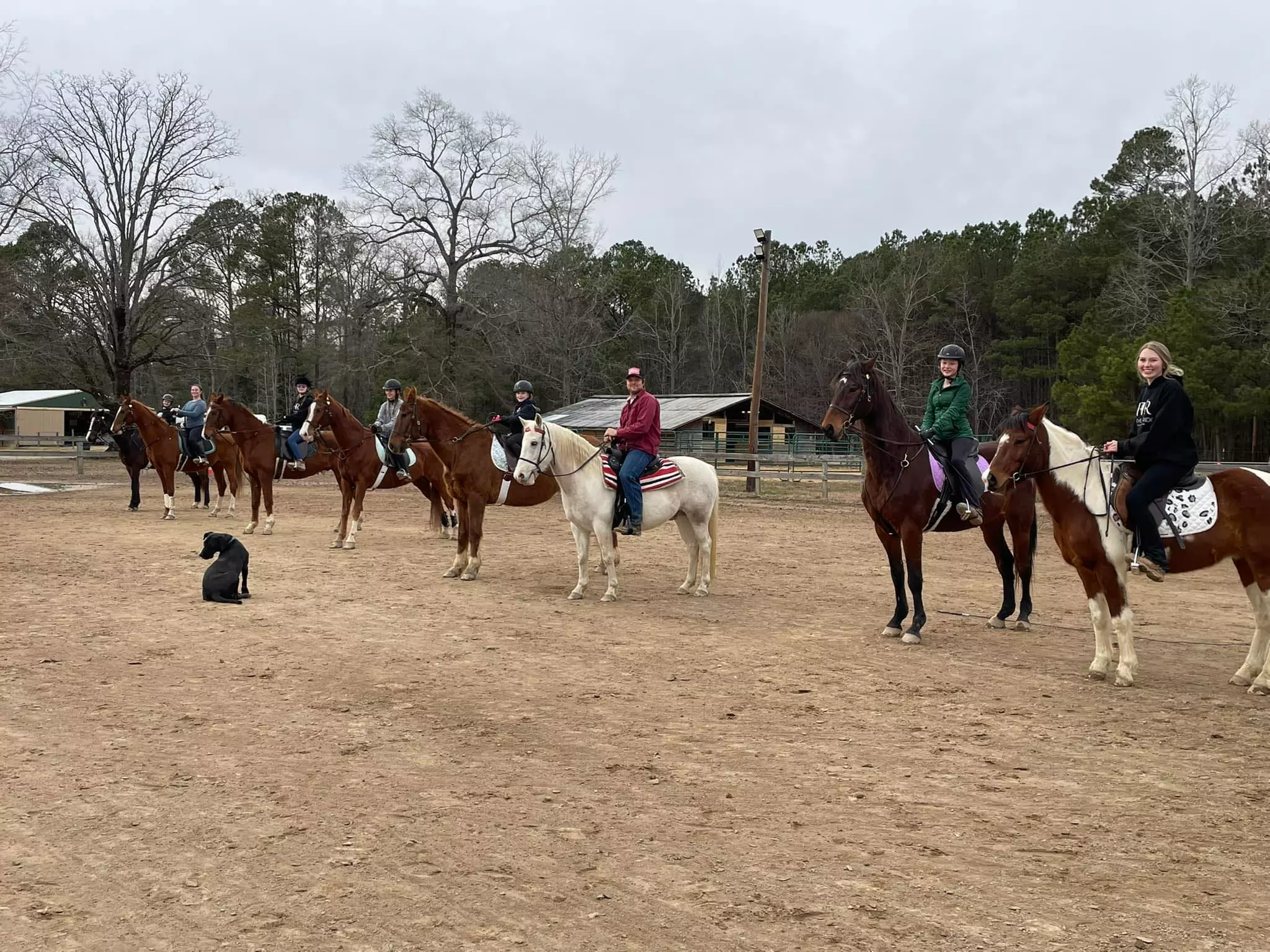 Up to 31% Off on Horse Back Riding - Training at Feather Ridge Equestrian Inc - Primary Image