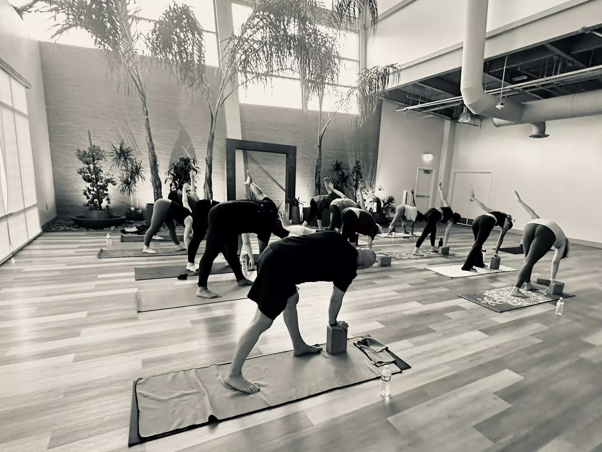 Up to 33% Off on Yoga at Anicca Yoga - Primary Image