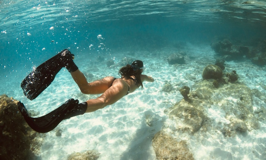 Image 2: Snorkeling Trip for Up to Four – Boynton Beach