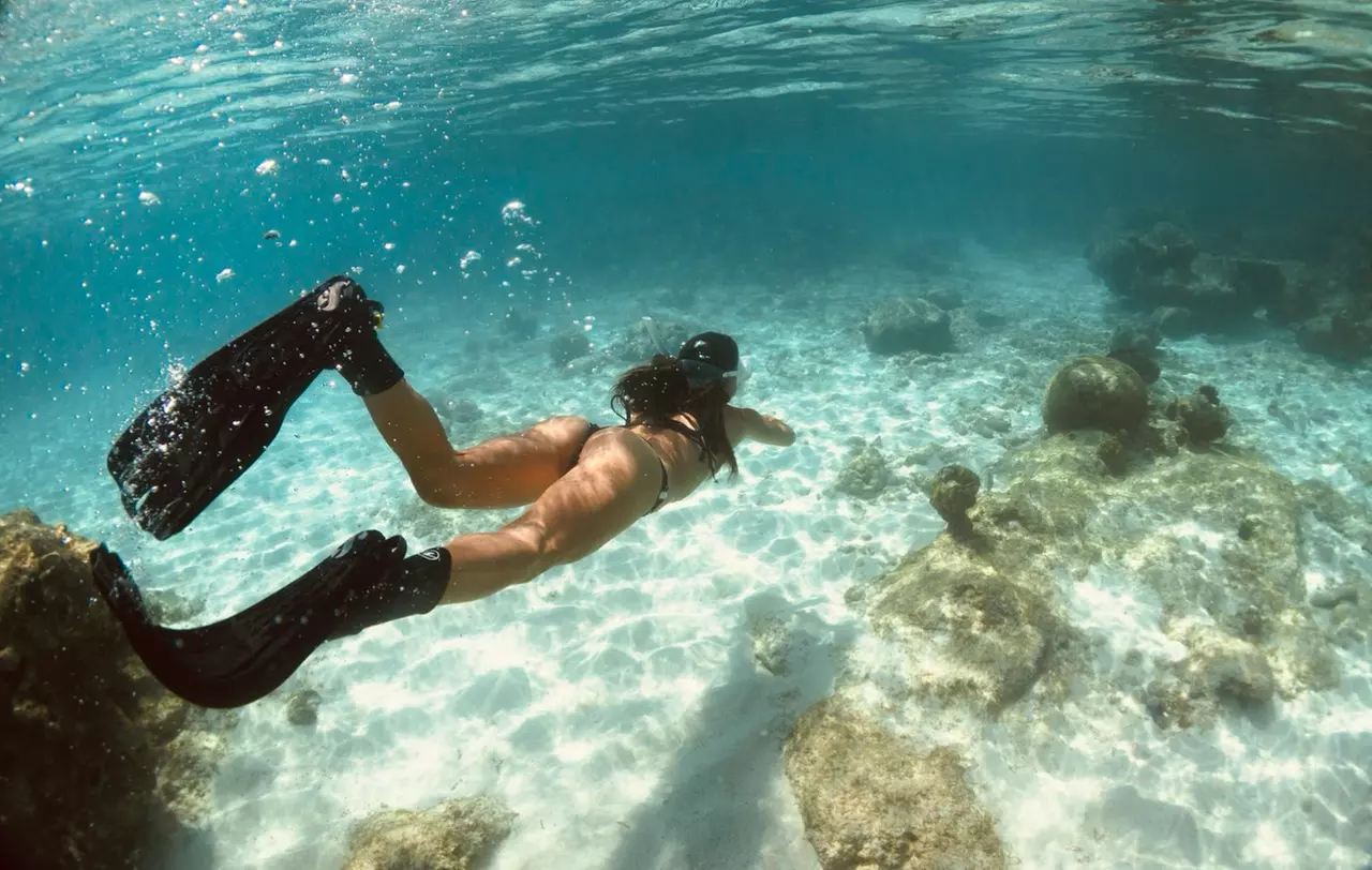 Snorkeling Trip for Up to Four – Boynton Beach