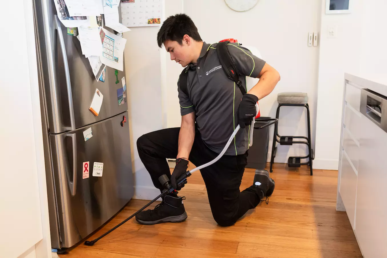 Up to 30% Off on Pest Control Service - General at Oracle Services - Primary Image