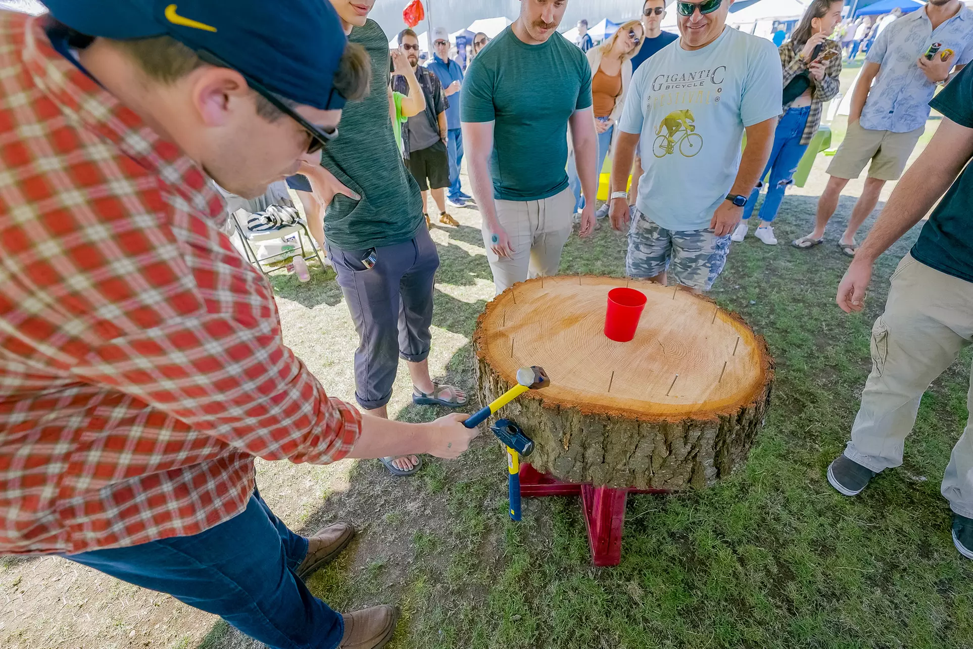 Explore the Cider Swig Festival w/ Admission & LeMay Car Museum Passes