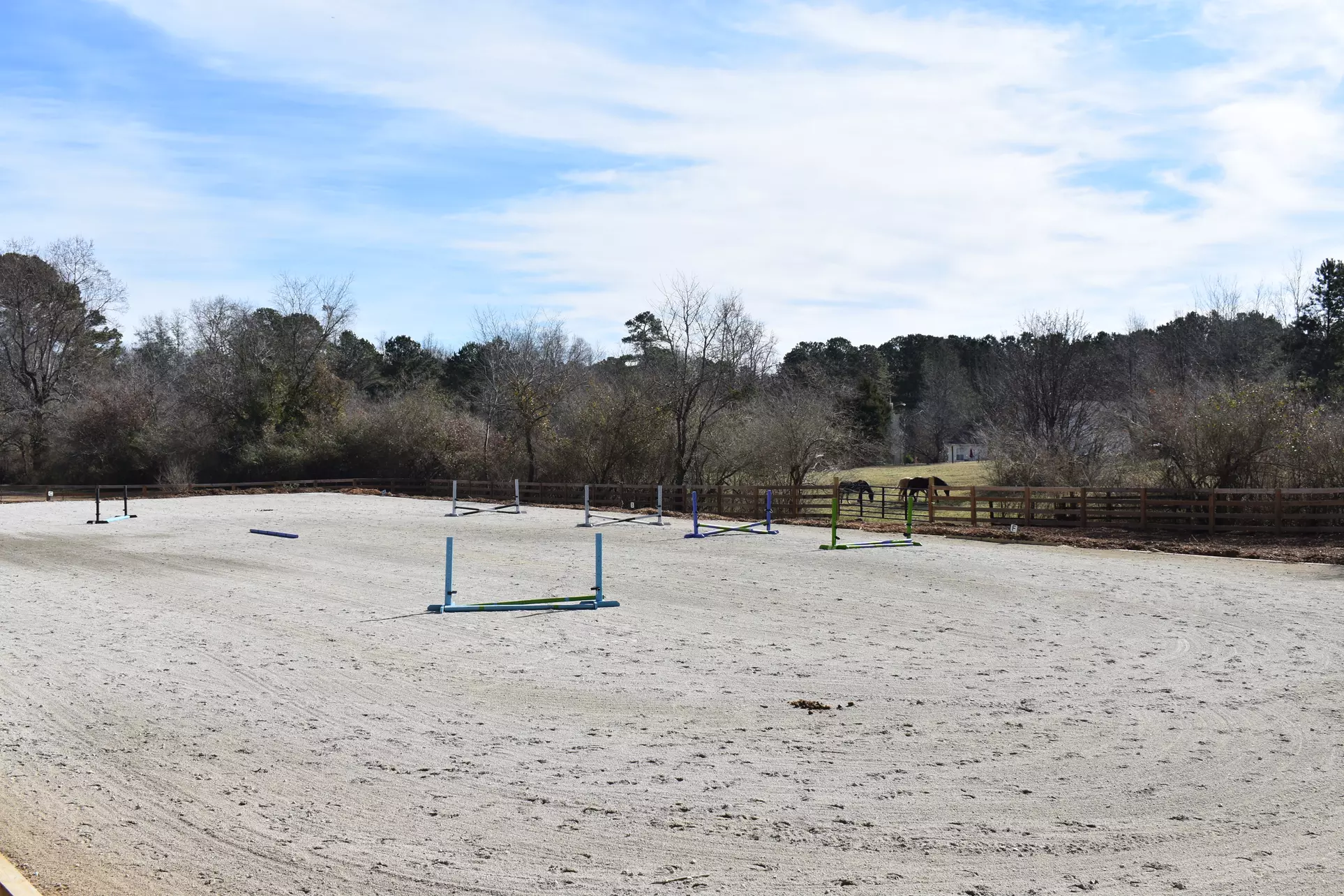 Up to 35% Off on Horse Back Riding - Recreational at Celestial Riding Academy - Primary Image