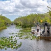 Image 1:  Explore the Everglades with a Guided Airboat Tour for One Person