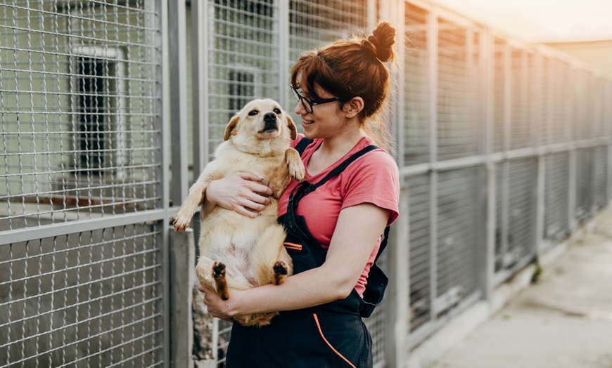 Image 1: Animal Care and Psychology at Euston College