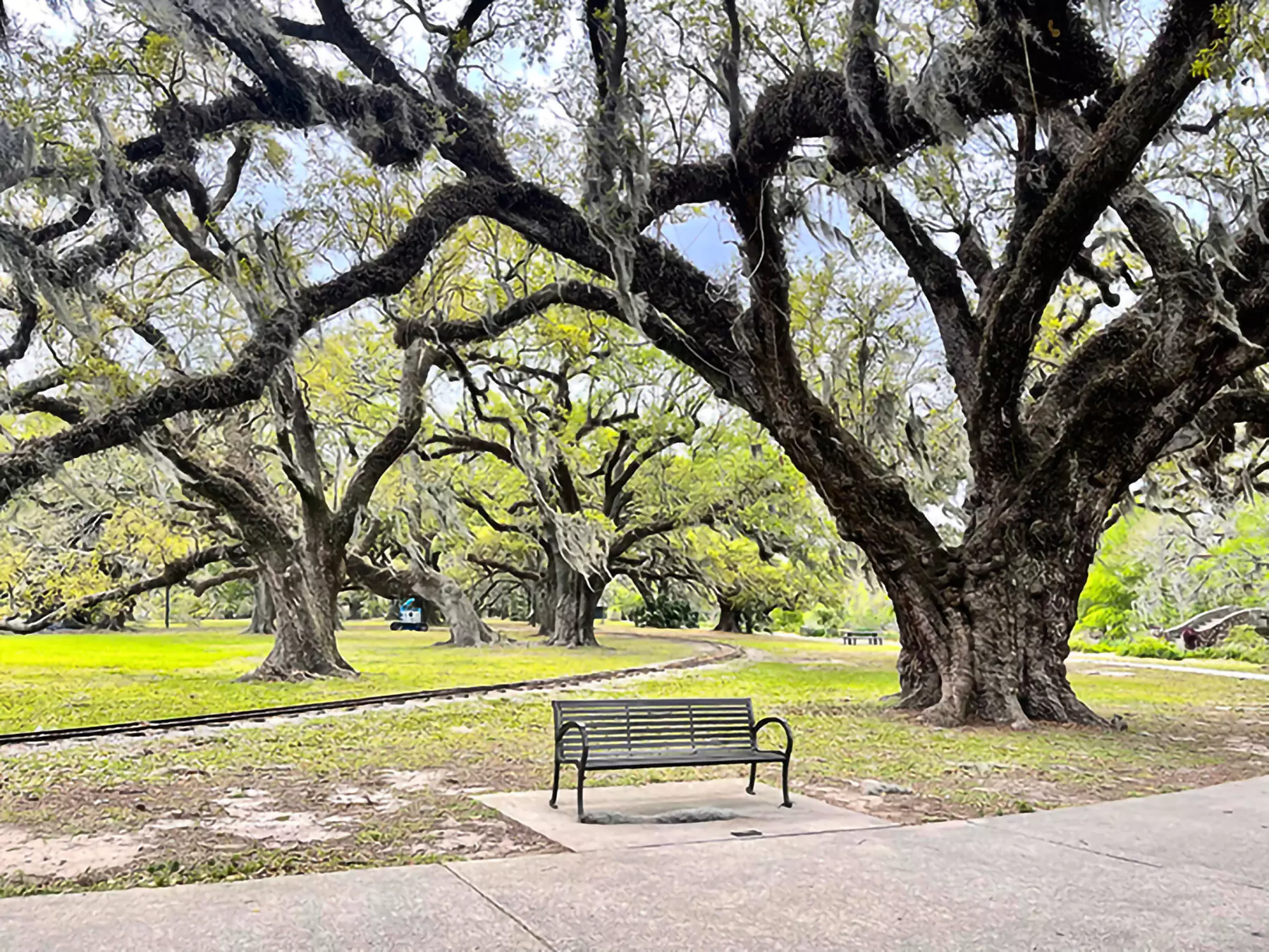 Up to 35% Off on VIP Driving Tour of Bayou St John / Cemetery & more