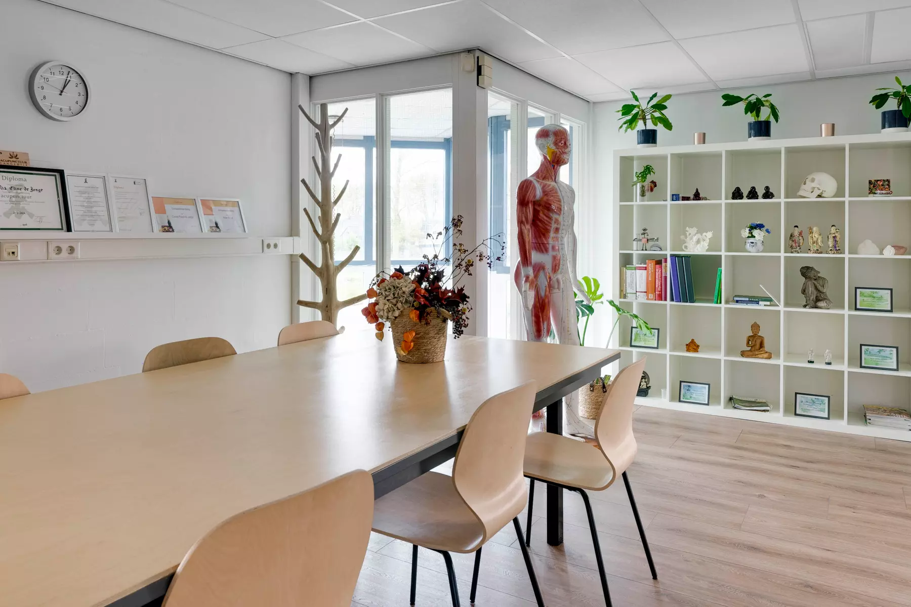 Voel de kracht van cupping en herlaad je lichaam en geest!