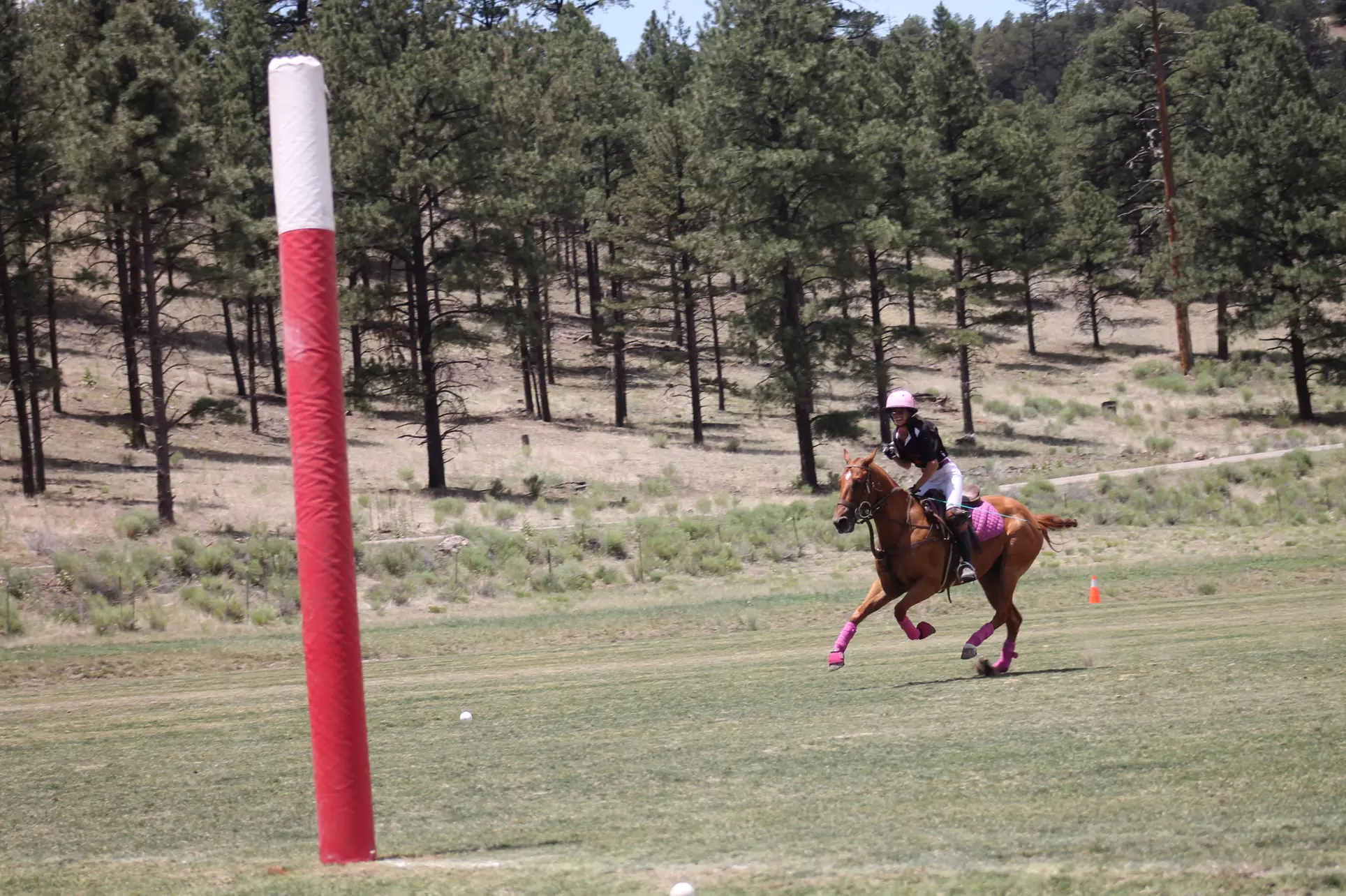 Up to 50% Off on Horse Back Riding - Training at Polo Azteca Club And Academy