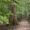 Image 4: Explore Cincinnati Nature Center Trails – Ohio