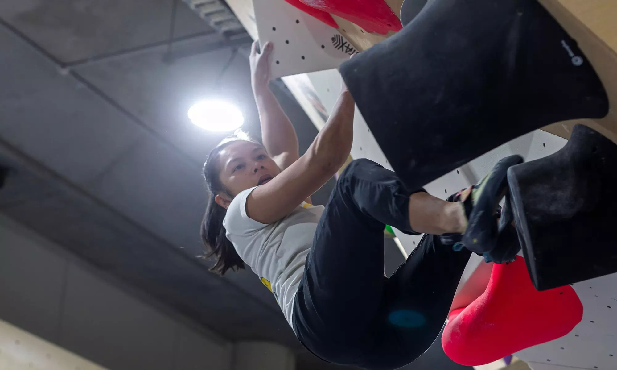 Up to 35% Off on Bouldering at NOMAD Bouldering Gym Annandale and Gladesville