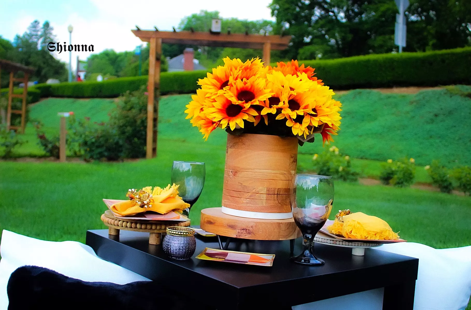 Up to 10% Off on Romantic Dinner at Shionna Luxxure Picnic - Primary Image