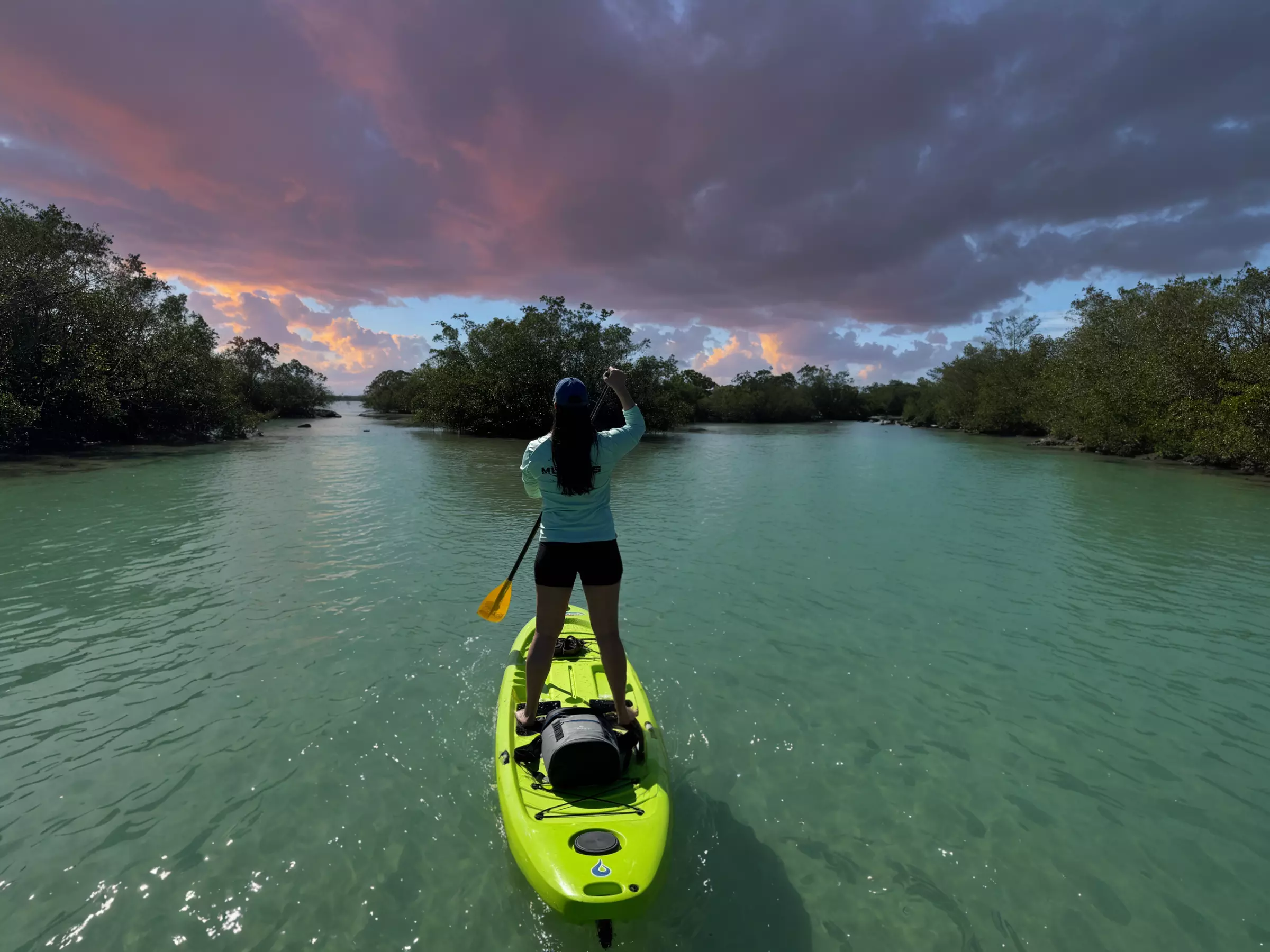 Kayak & Paddleboard Rentals – Siesta Key Adventures