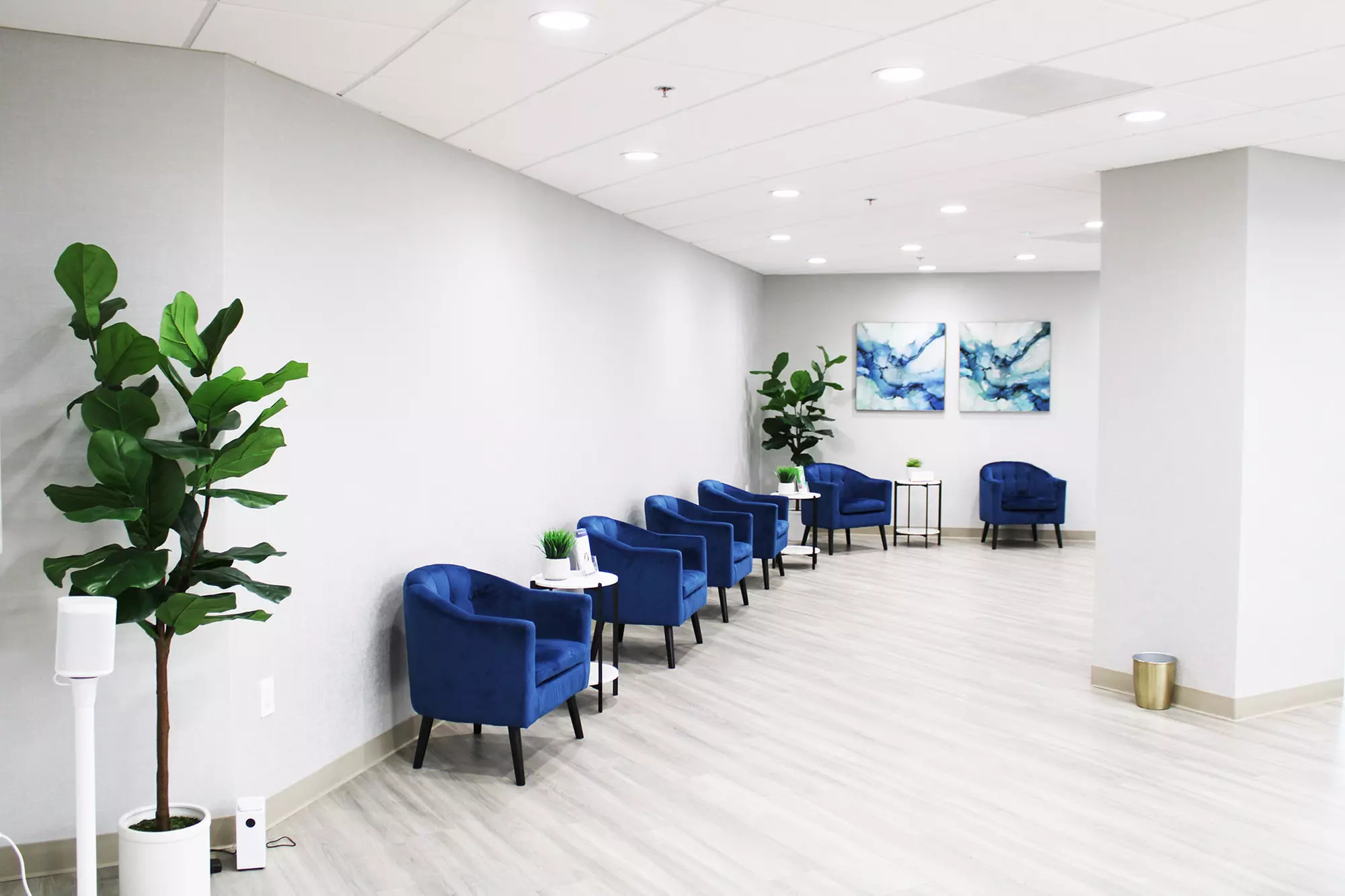 Implant Consult (Full Comprehensive Exam, CT Scan, & X-rays Included)