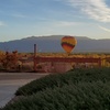 Image 5: Experience Hot Air Balloon Ride over Rio Grande Valley