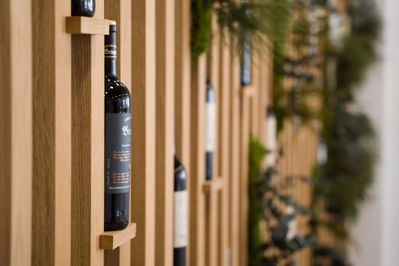 Visita guiada a la bodega y cata de vino, con opción a botella de vino, para 2 o 4 personas en Bodegas Briego - Second Medium