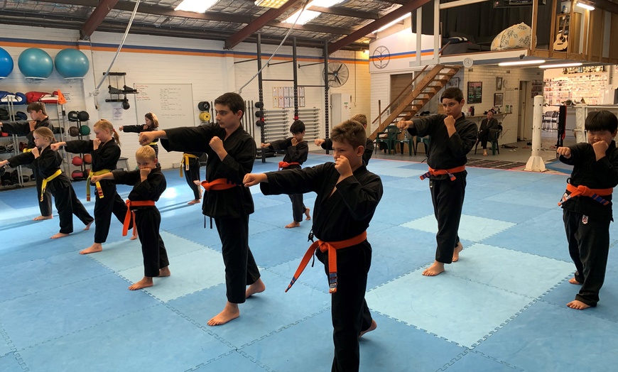 Image 3: One Month of Martial Arts Classes