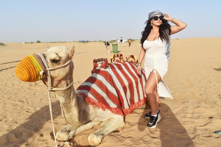VIP Desert Safari Tour Home Pickup and Drop off for One