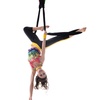 Image 3: Get Fit with Aerial Dance & Fitness Classes: 5-Week Program!