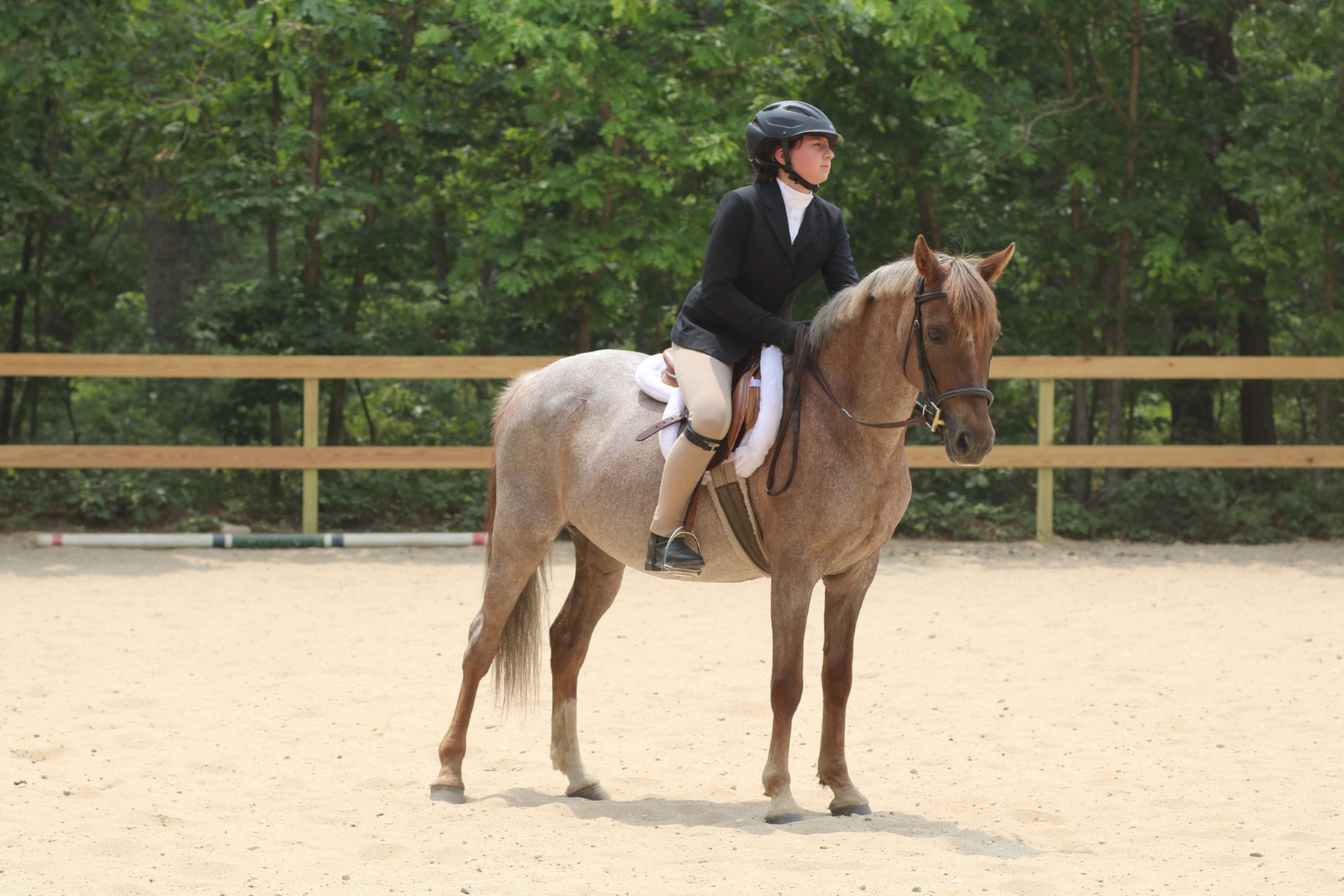 Up to 30% Off on Horse Back Riding at Fox View Equestrian LLC