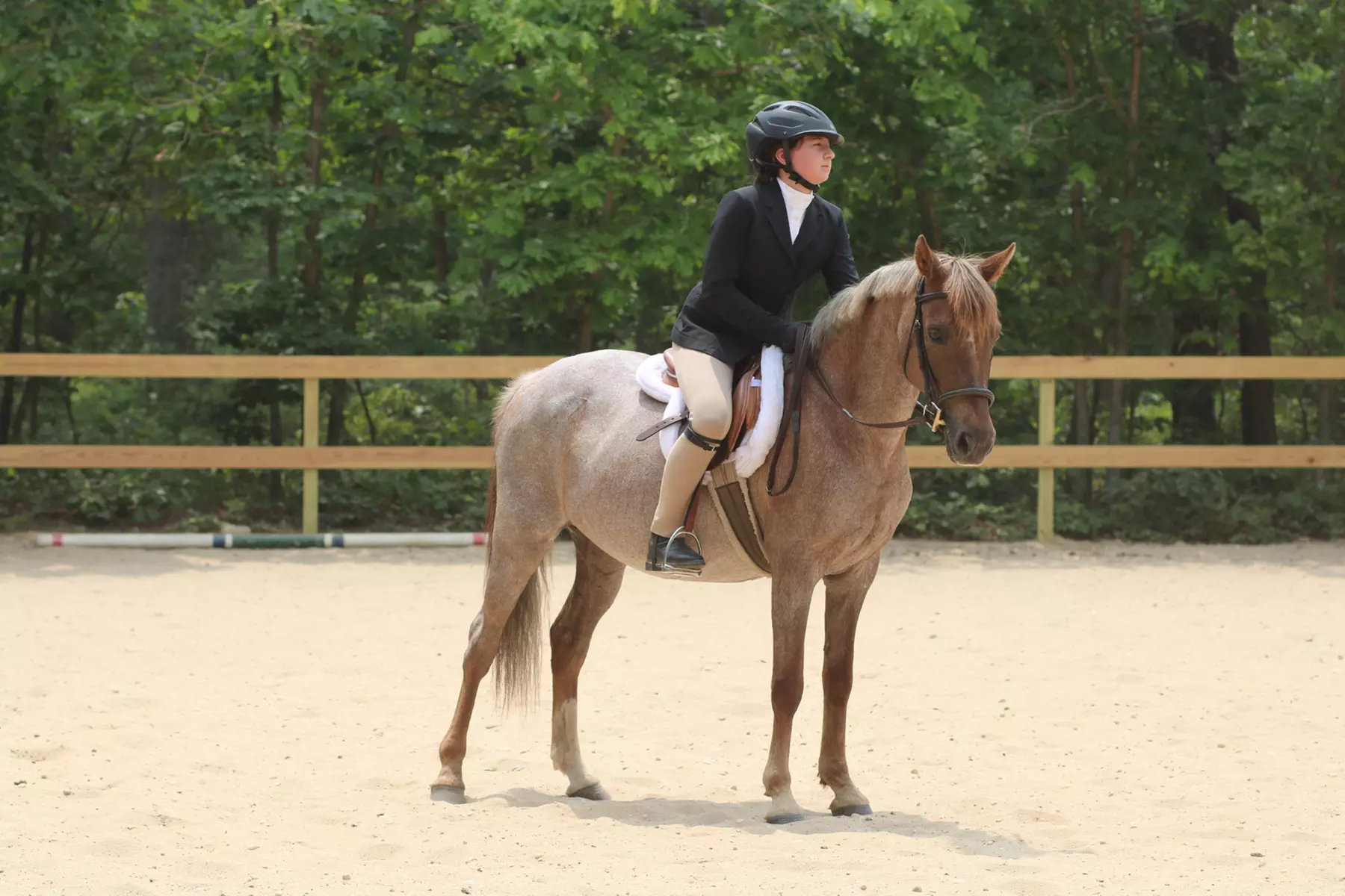 Up to 30% Off on Horse Back Riding at Fox View Equestrian LLC