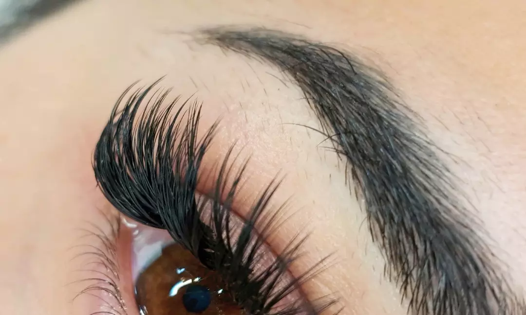 Transform Your Brows with WonderLash Studio's Eyebrow Shape and Tint, Up to 50% Off - Primary Image