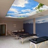 Image 3: Salt Cave & Infrared Sauna Sessions for Relaxation & Wellness