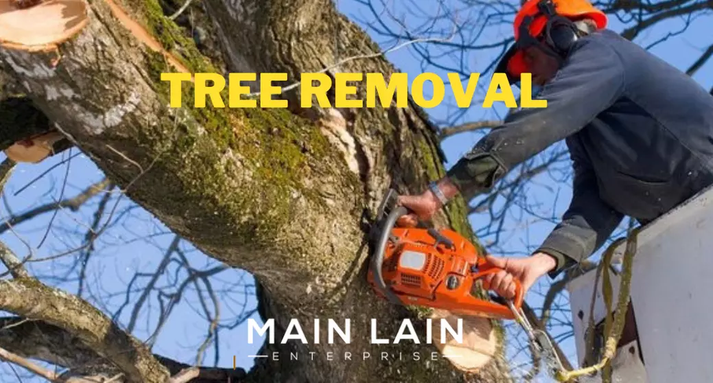 Up to 70% Off on Tree Trimming at Main Lain Enterprise - Primary Image