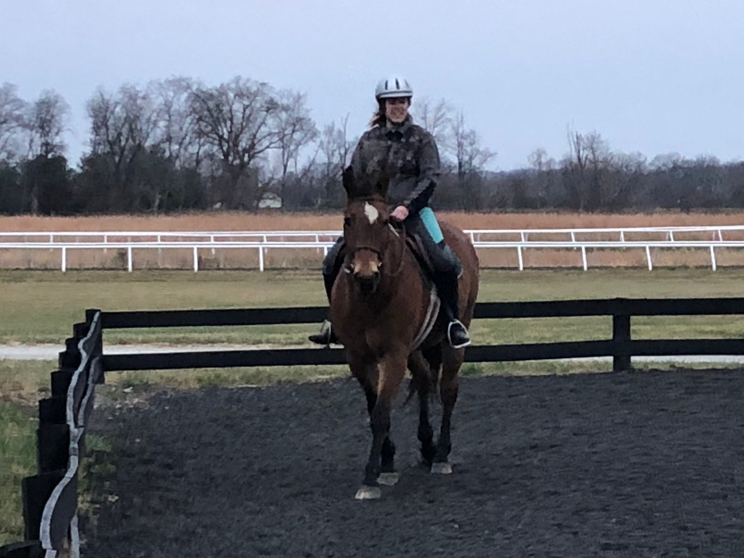 Private Horseback Riding Lessons in Scenic Settings