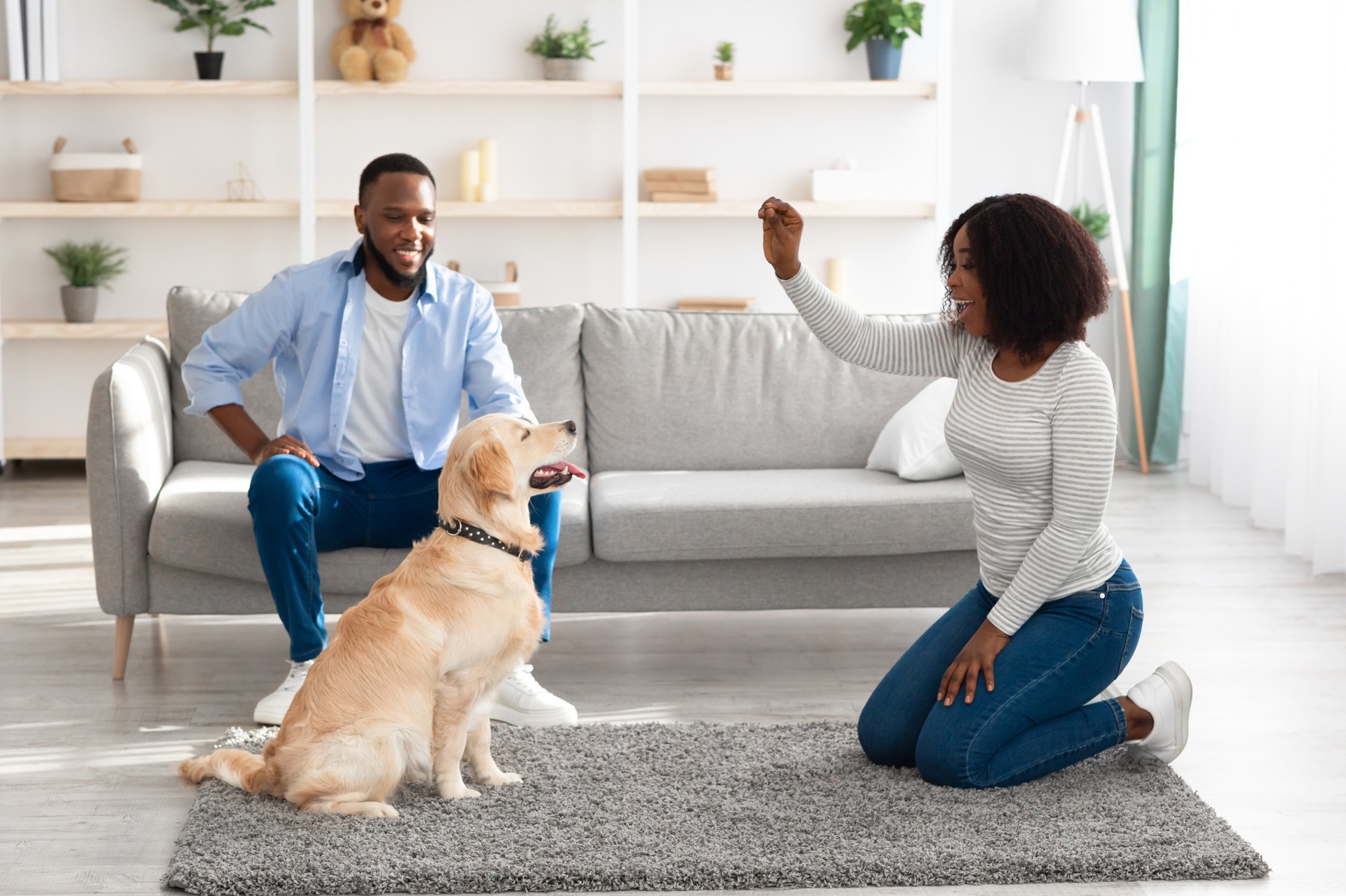 Up to 42% Off on Online Pet Care Course at Dog Magnet Training
