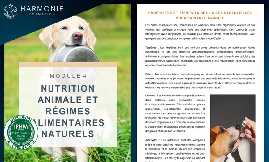 Image 2: Practicien(ne) en naturopathie animalière avec Harmonie Formation
