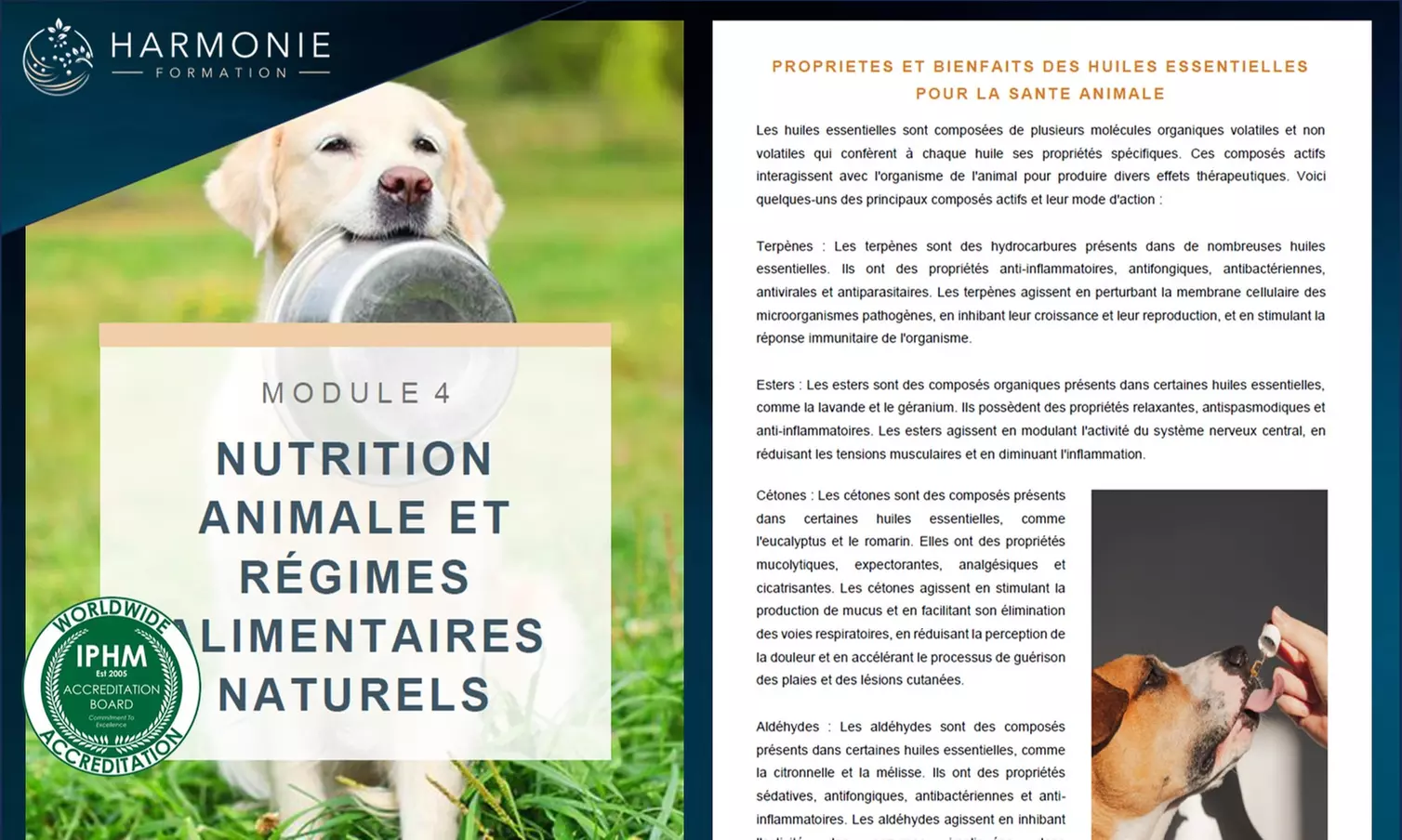 Formation certifiante - praticien(ne) en naturopathie animalière