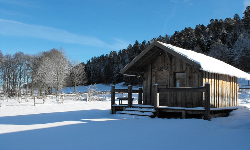 Image 3: Évasion nature dans le Vercors : séjour insolite en chalet
