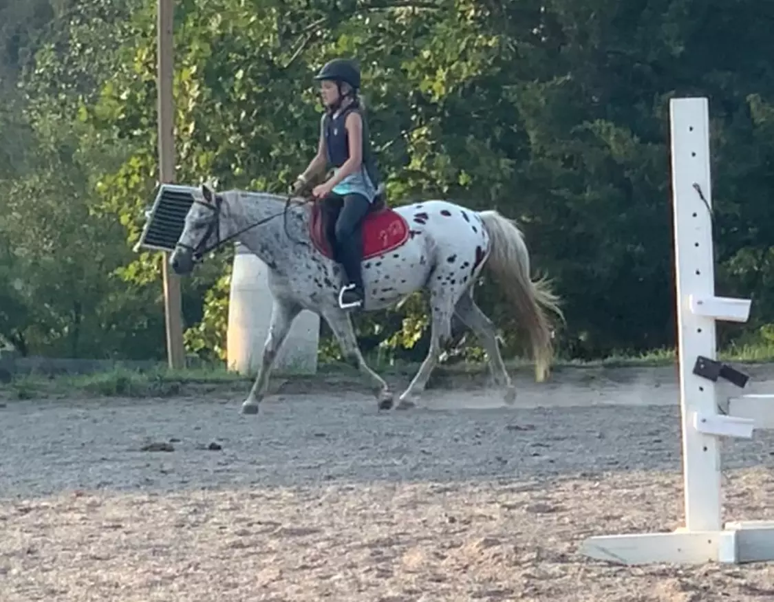 Up to 38% Off on Horse Back Riding at Williams Instruction and Training LLC - Second Medium