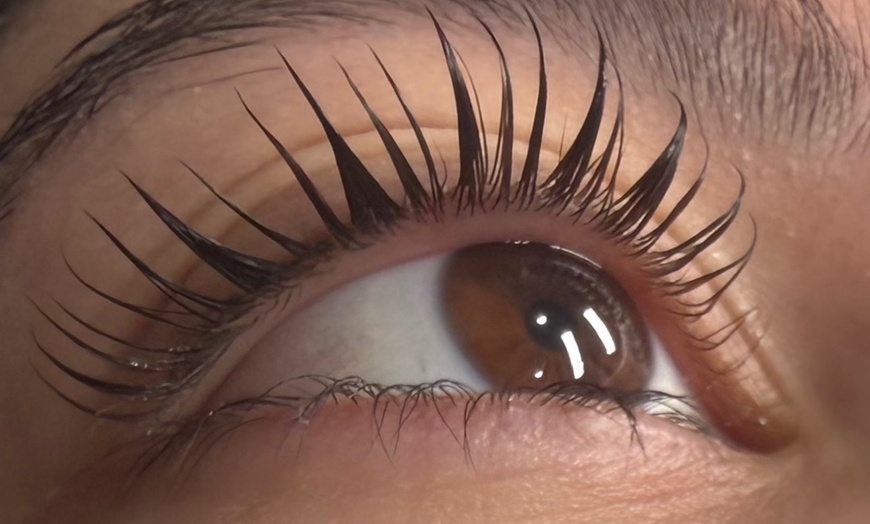Image 5: Keratin Lash Lift & Tint Sessions with Free Elleebana Serum & Mascara