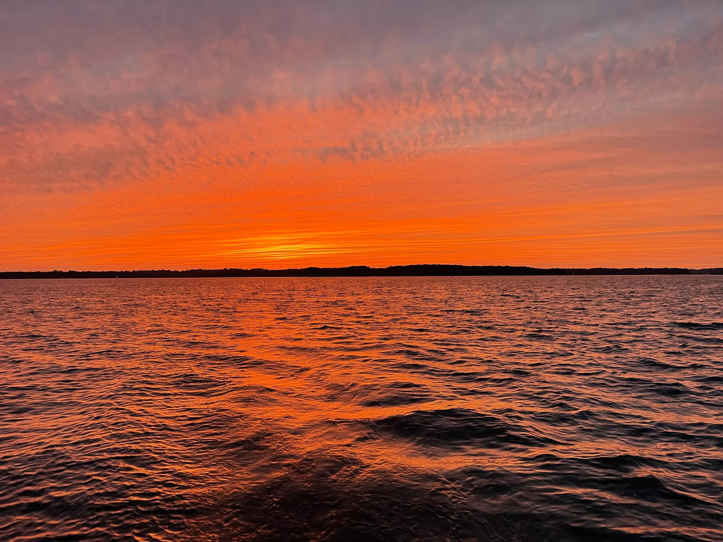 Up to 50% Off on Boat Charter at Elite Boat Charter - Second Medium