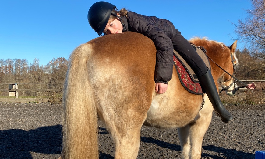 Image 2: Schnupperstunde, 3x oder 10x pferdegestützte Therapie / Reittherapie 