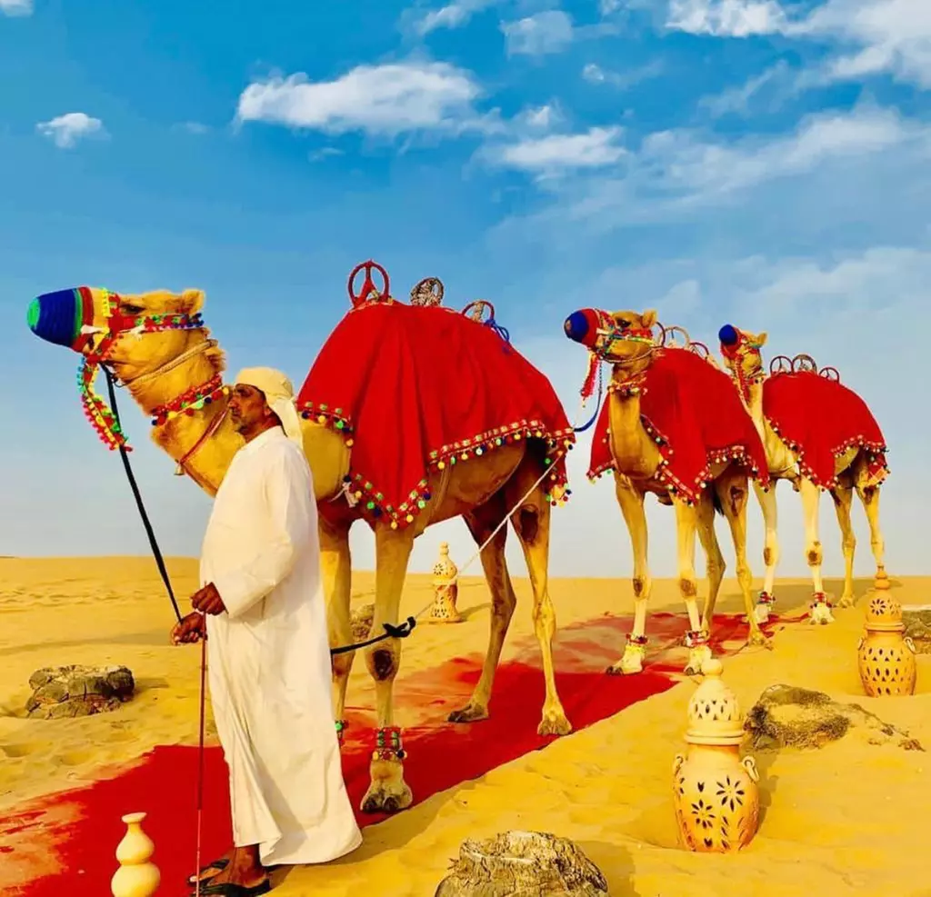 Evening Desert Safari with Optional Pick-up for Up to Six