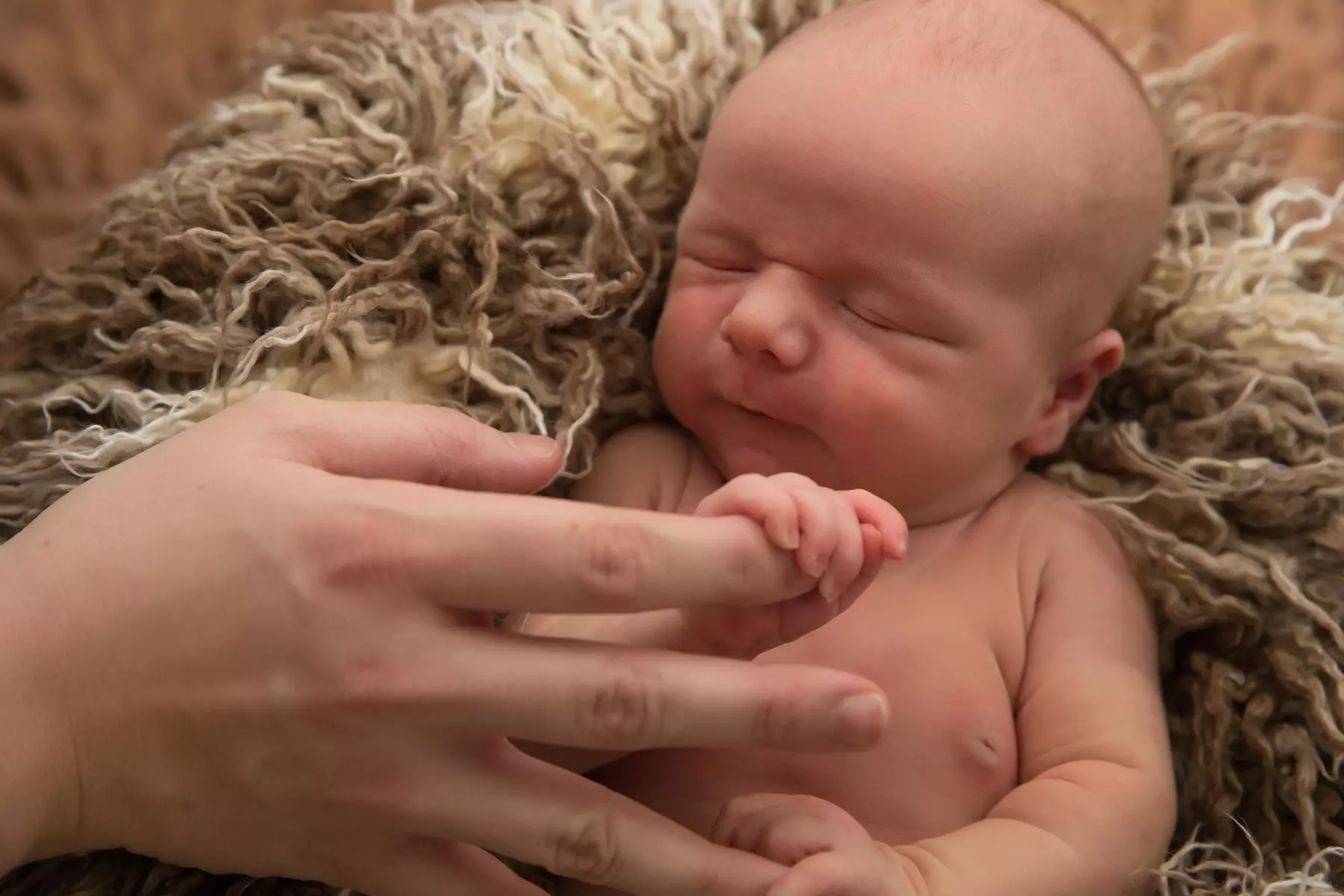 Studio Photography at Avalon City Imaging