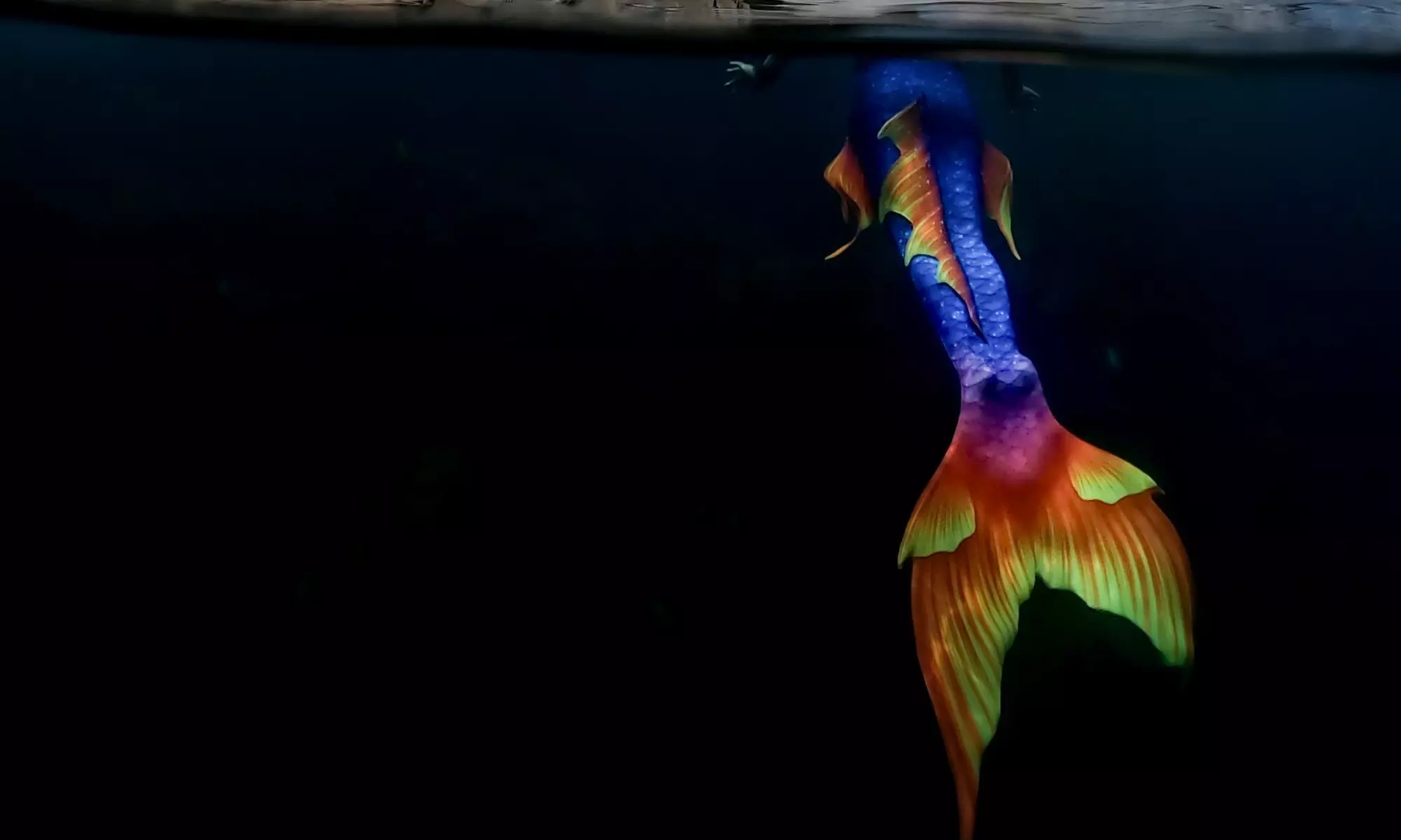 Up to 40% Off on SCUBA at Catalina Island Mermaids - Second Medium