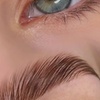 Image 2: Eyebrow Lamination and Tint Services
