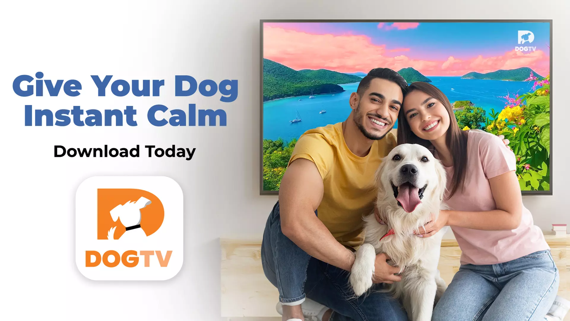 Stream DOGTV for a Year or Enjoy a Free Month